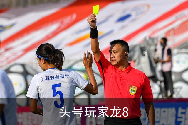 头号玩家龙8 公司简介